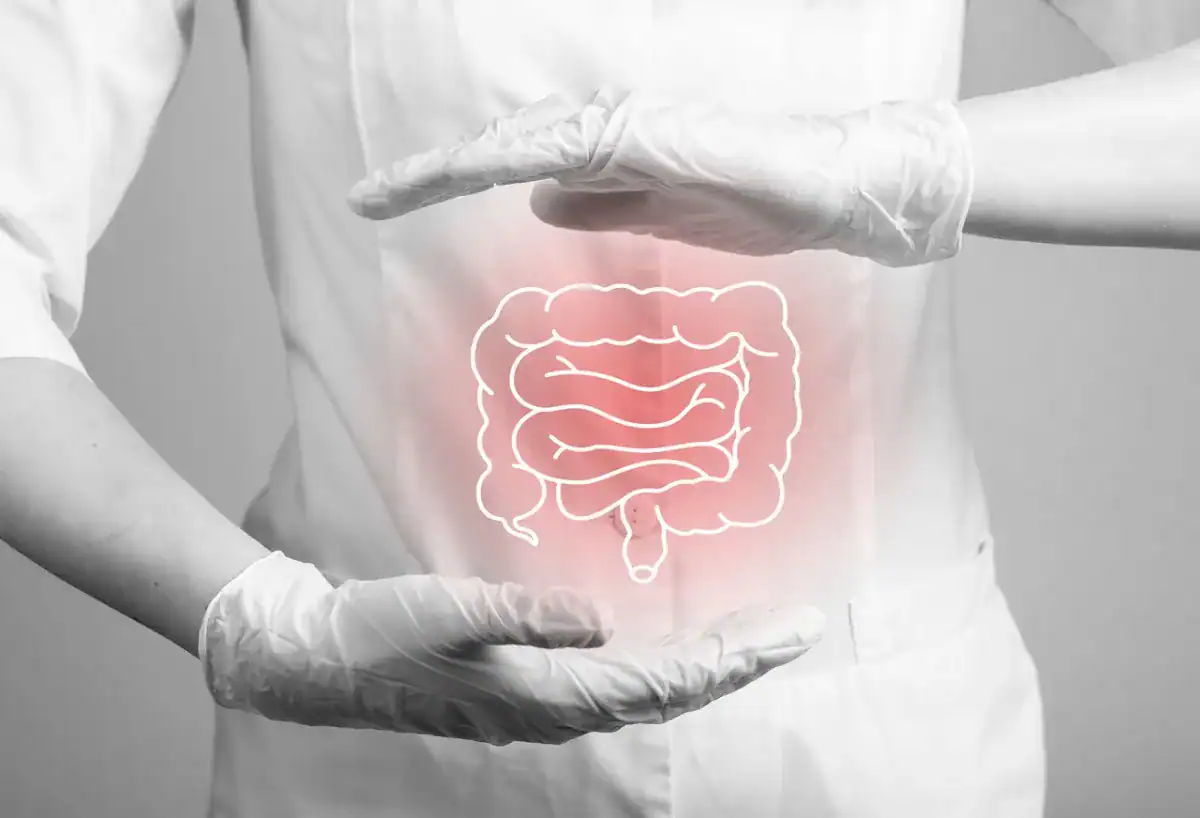 illustration d'un intestin enflammé en raison d'intolérances et d'allergies