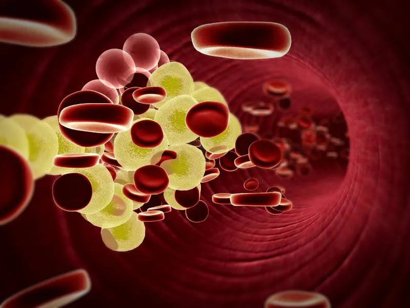 graphique de globules rouges dans une veine
