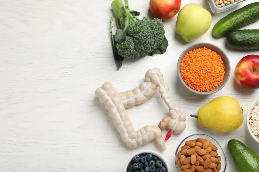 Modèle de l'intestin entouré d'aliments sains : légumes, fruits, légumineuses et fruits secs